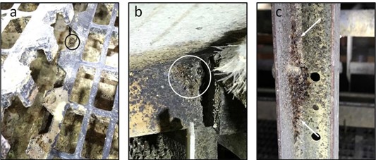 Three close-up images showing bed bugs in a cage-free housing system. In image (a), a bed bug is visible on a plastic slatted floor panel (circled). In image (b), bed bugs are clustered in a crevice along a metal beam (circled). In image (c), bed bugs are present inside small holes in a vertical metal support, indicated by arrows.